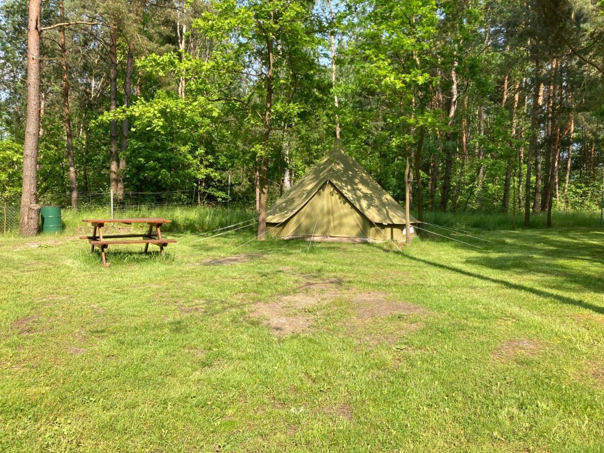 Lesne Zacisze-Pole Namiotowe Hotel Pisklaki Luaran gambar